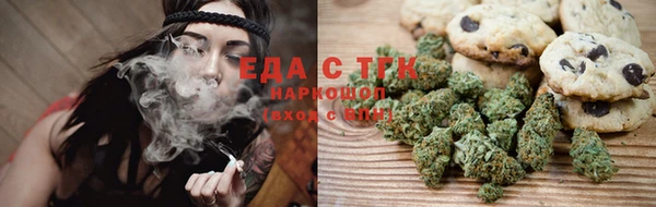 дмт Алзамай