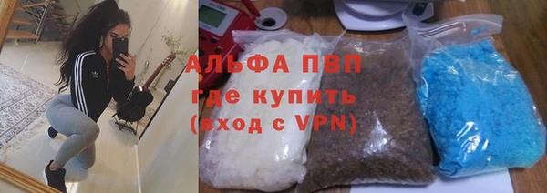дмт Алзамай