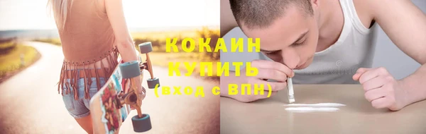 кокс Алексин
