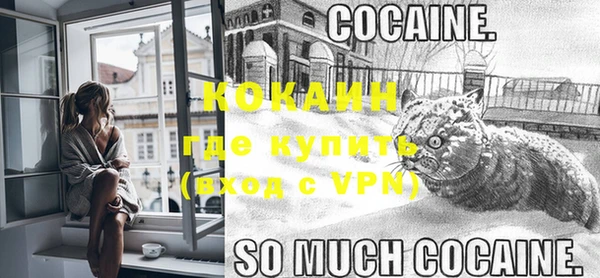 кокс Алексин