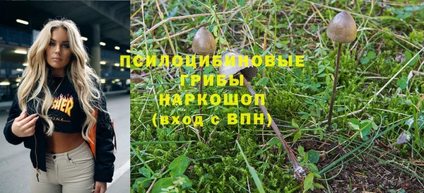 кокс Алексин