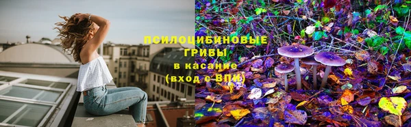 дмт Алзамай