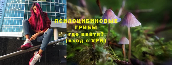 дмт Алзамай