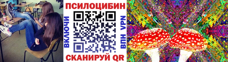 Галлюциногенные грибы ЛСД  Жиздра 